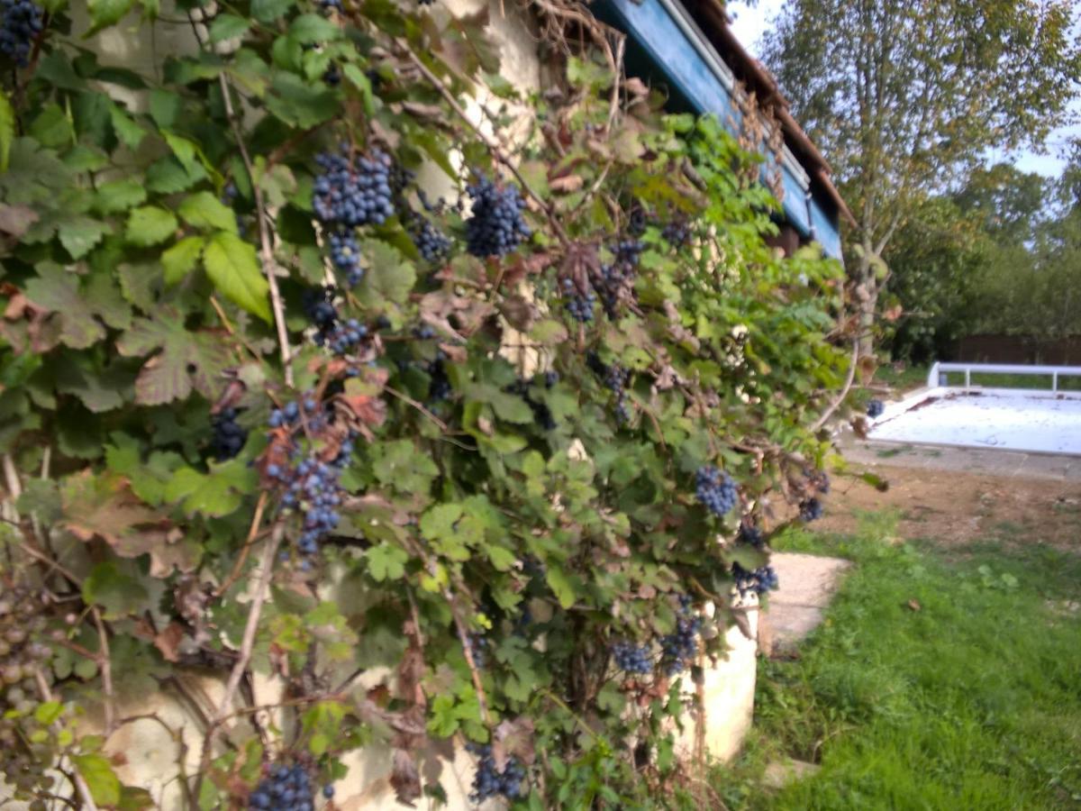 Nicely Renovated Wine-Grower House Fargues-Saint-Hilaire Exteriör bild
